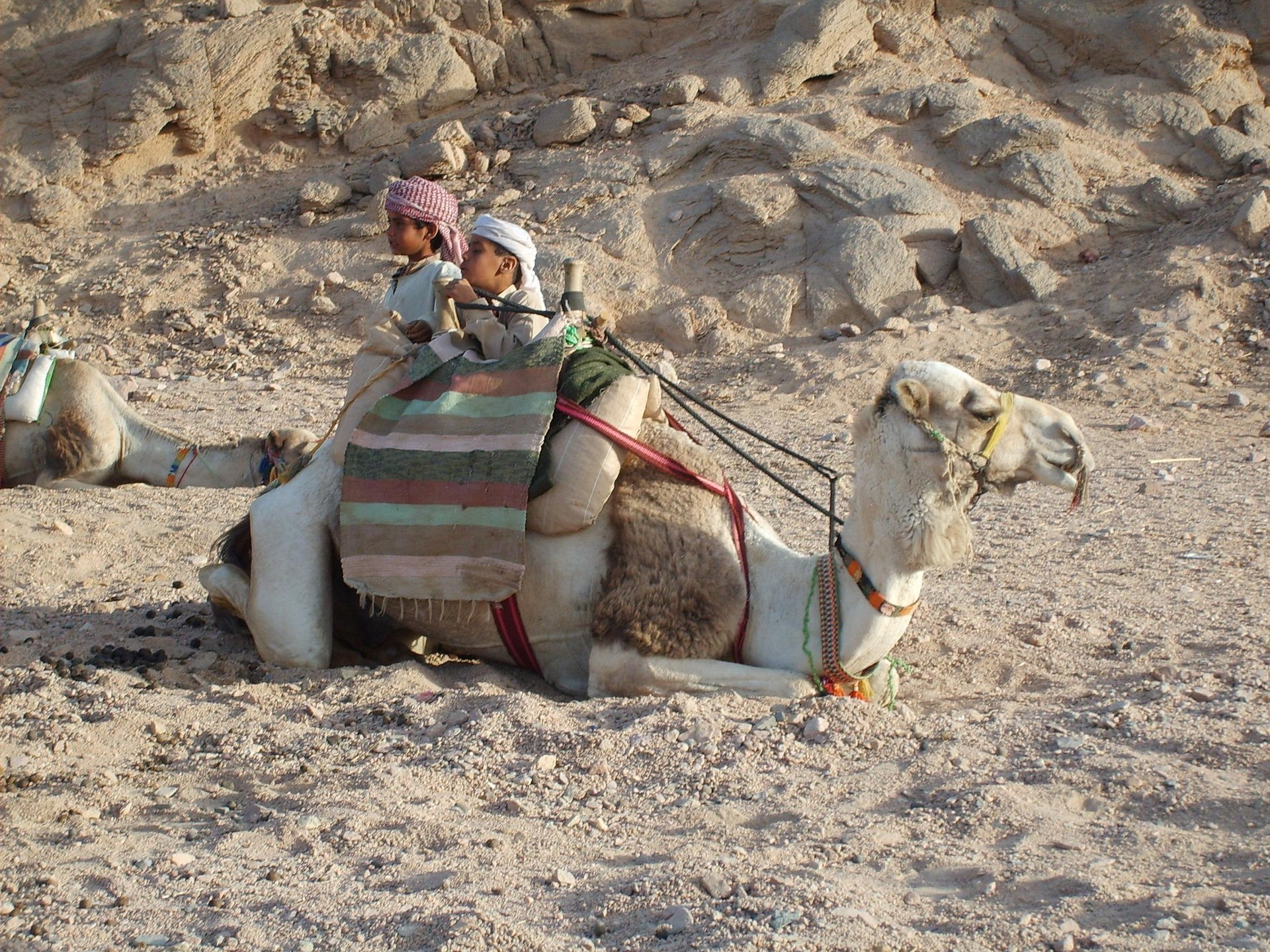Hurghada Super Safari: Quad Bike, Camel & Bedouin Dinner