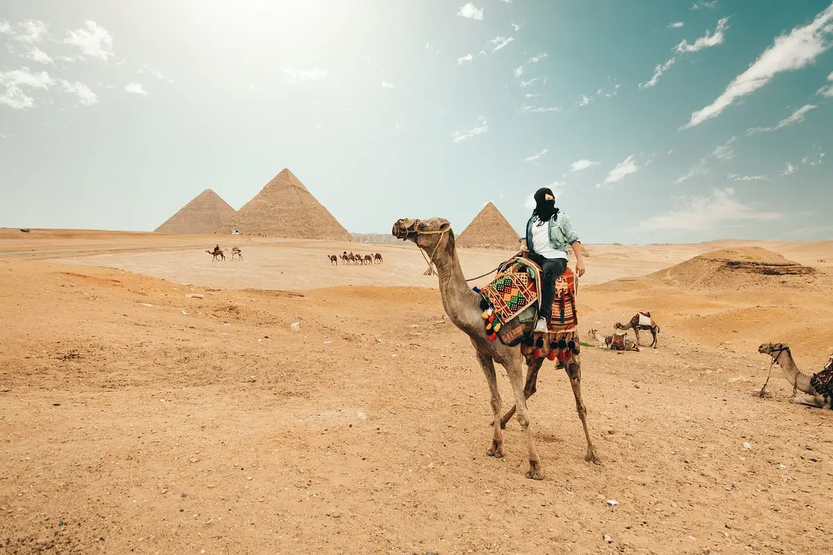 Egypt in Words