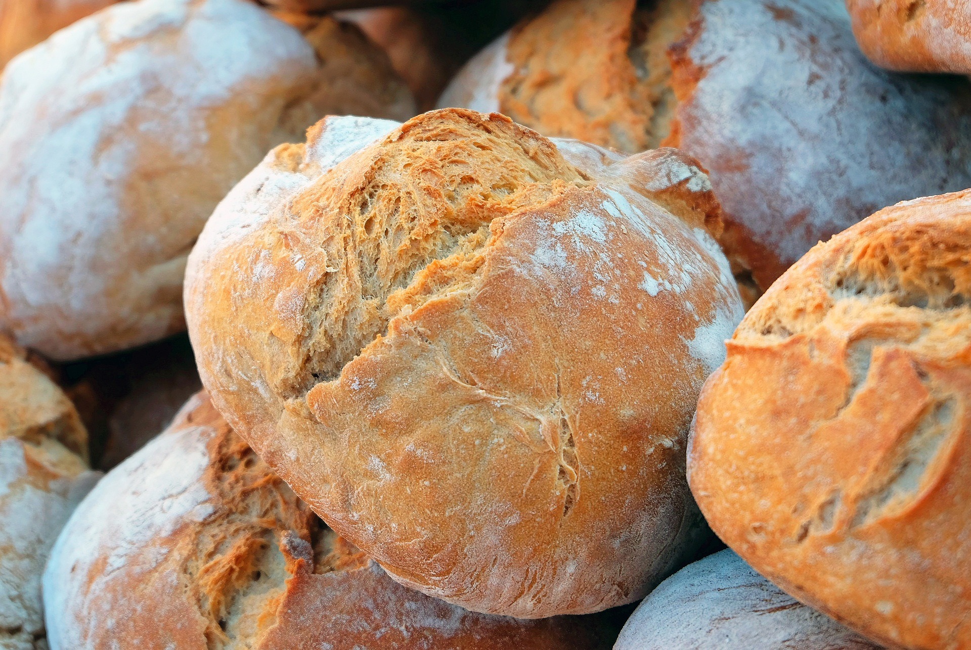 Bread in Ancient Egypt: The History of One of the oldest Foods