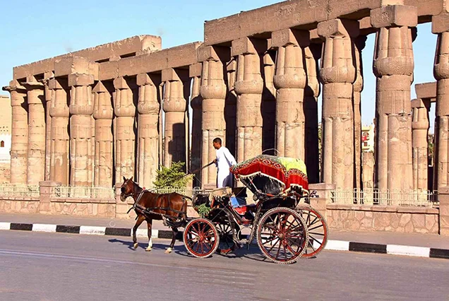 Horse & Carriage Ride in Luxor