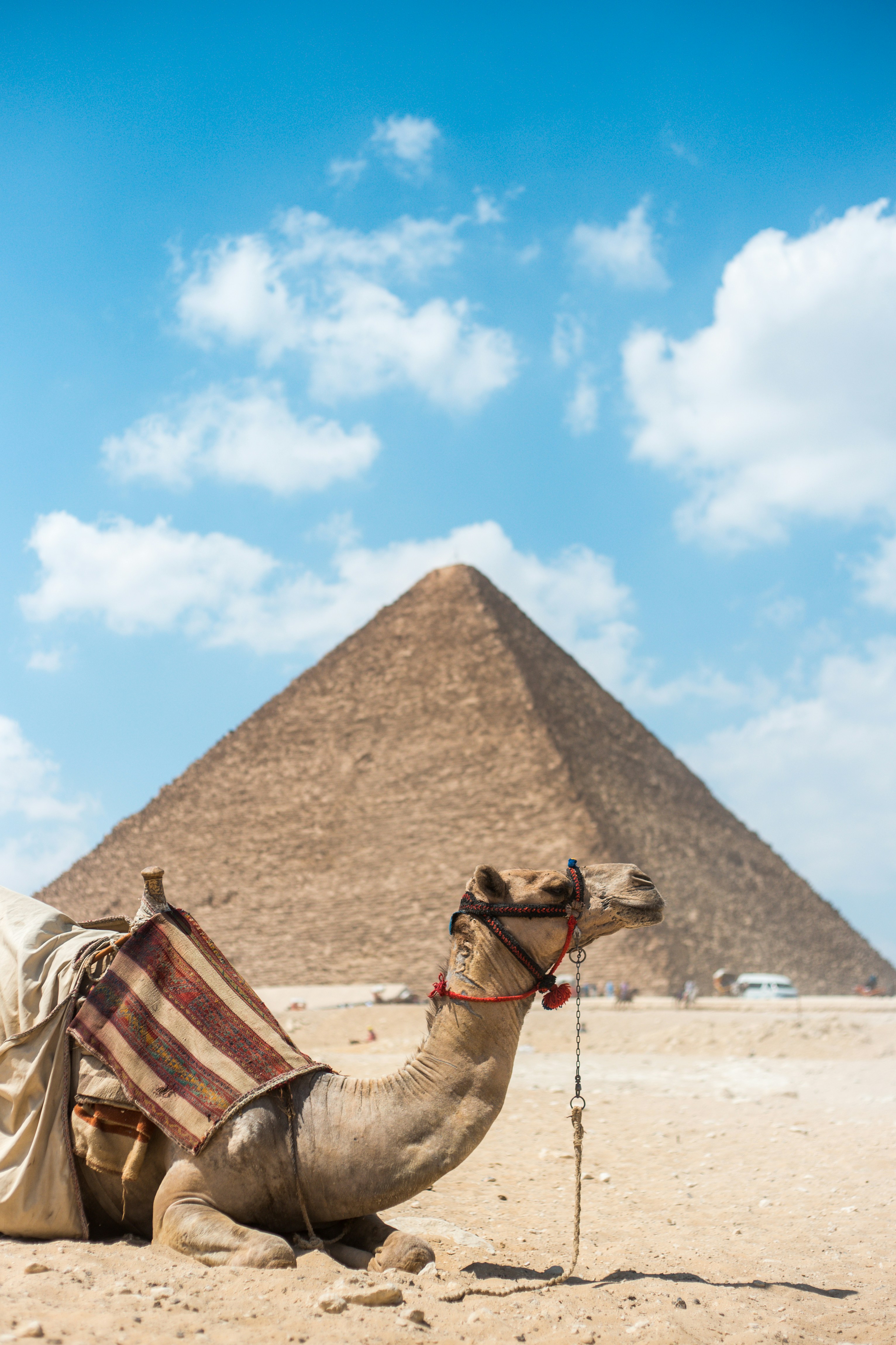 How Many Days Do You Need in Egypt? Complete Itinerary Guide